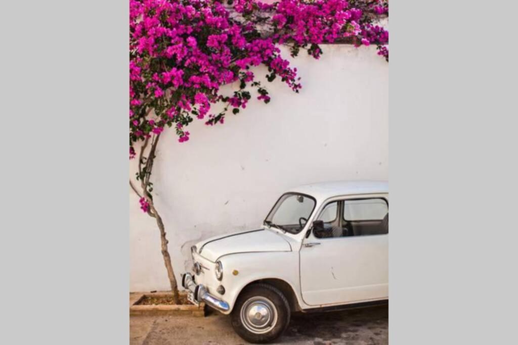 Mojacar Pueblo - Traditional Village House - The Old Jewish Quarter Exterior photo